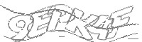 Check code