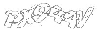 Check code